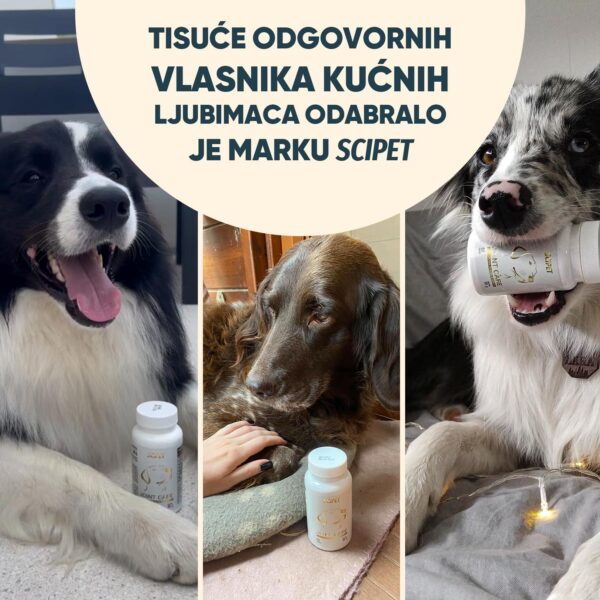 Prašak za zube SciPet za pse - 60 g - Slika 4