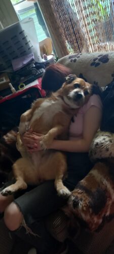 Click to view full screen Probiotik SciPet za pse - 60 komada (20% popusta) photo review